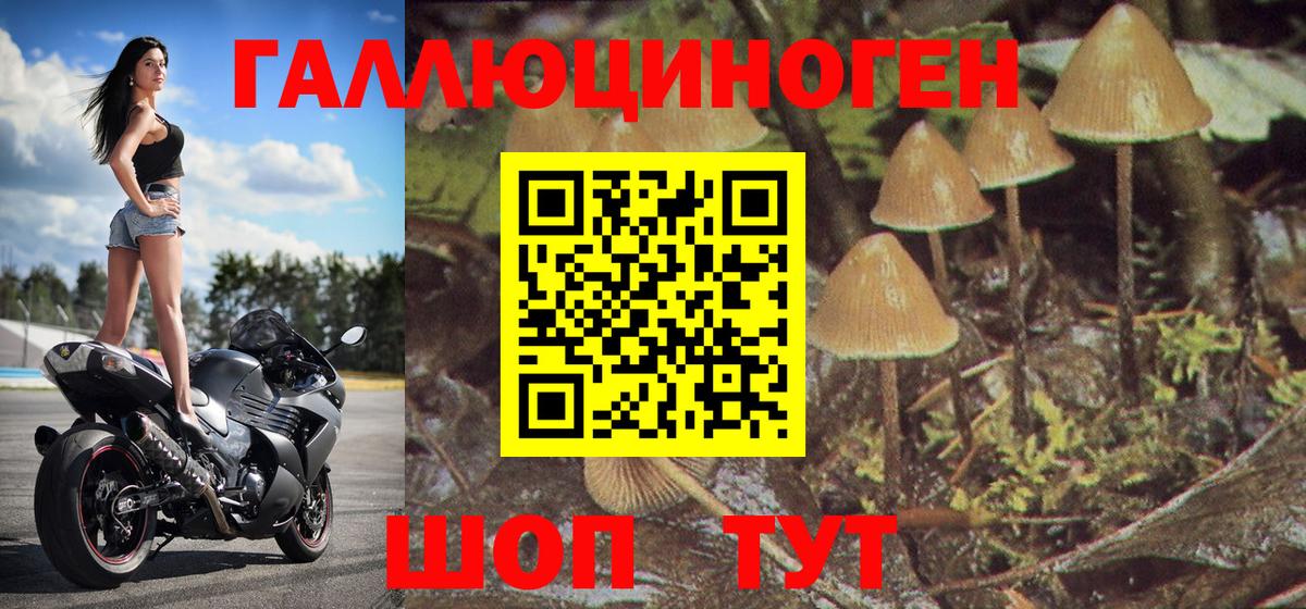 Псилоцибиновые грибы Magic Shrooms  как найти   Энгельс  Псилоцибиновые грибы MAGIC MUSHROOMS  Вход с VPN 